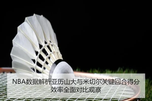 NBA数据解析亚历山大与米切尔关键回合得分效率全面对比观察